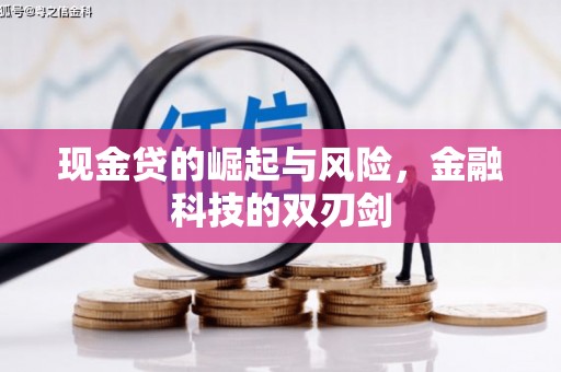 大丰现金贷的崛起与风险，金融科技的双刃剑