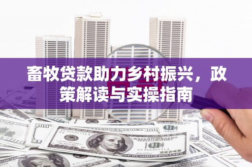 大丰畜牧贷款助力乡村振兴，政策解读与实操指南