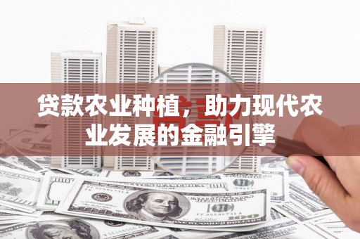 大丰贷款农业种植，助力现代农业发展的金融引擎