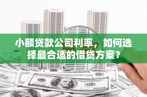 大丰小额贷款公司利率，如何选择最合适的借贷方案？