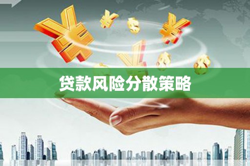 大丰贷款风险分散策略