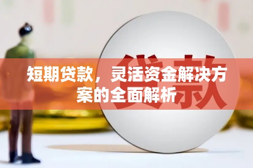 大丰短期贷款，灵活资金解决方案的全面解析