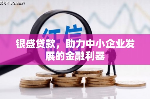 大丰银盛贷款，助力中小企业发展的金融利器