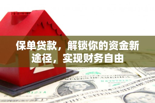 大丰保单贷款，解锁你的资金新途径，实现财务自由