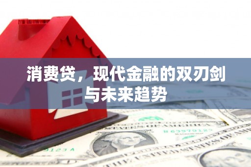 大丰消费贷，现代金融的双刃剑与未来趋势