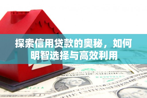 大丰探索信用贷款的奥秘，如何明智选择与高效利用