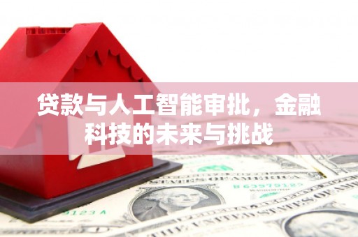 大丰贷款与人工智能审批，金融科技的未来与挑战