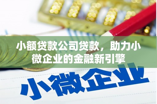 大丰小额贷款公司贷款，助力小微企业的金融新引擎