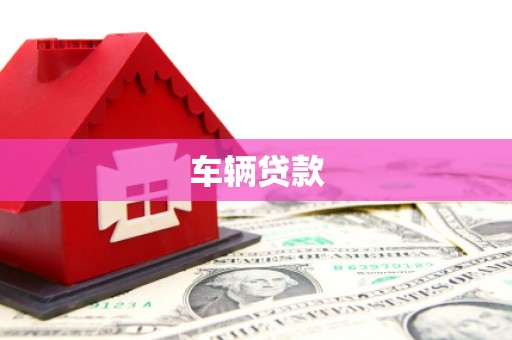 大丰车辆贷款
