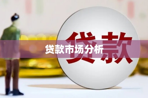 大丰贷款市场分析