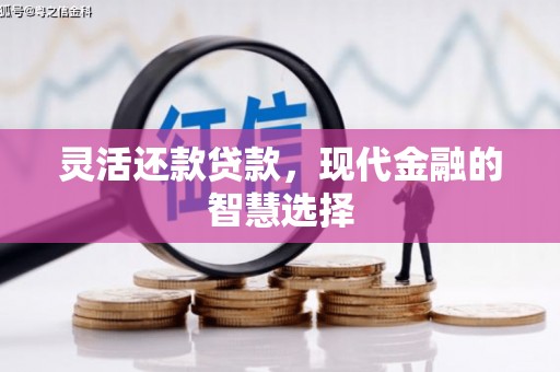 大丰灵活还款贷款，现代金融的智慧选择