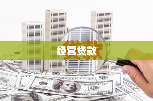 大丰经营贷款