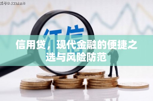 大丰信用贷，现代金融的便捷之选与风险防范