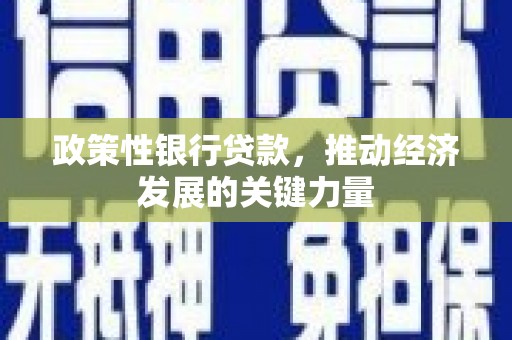 大丰政策性银行贷款，推动经济发展的关键力量