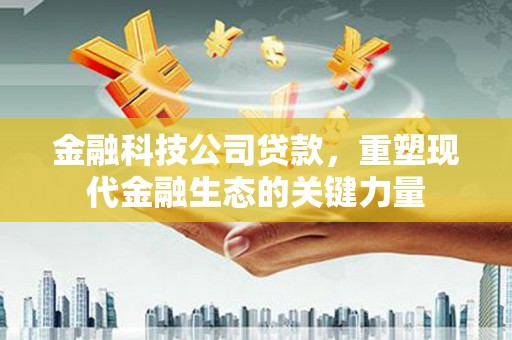 大丰金融科技公司贷款，重塑现代金融生态的关键力量
