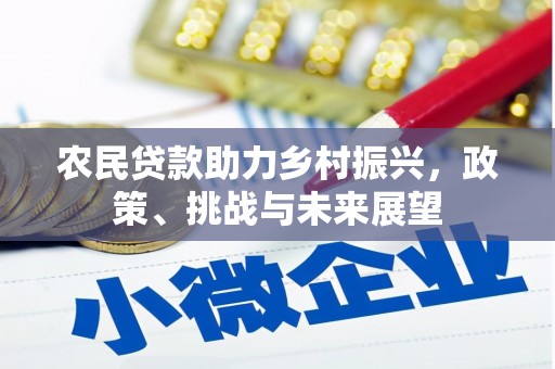 大丰农民贷款助力乡村振兴，政策、挑战与未来展望