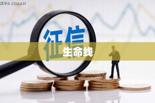 大丰生命线