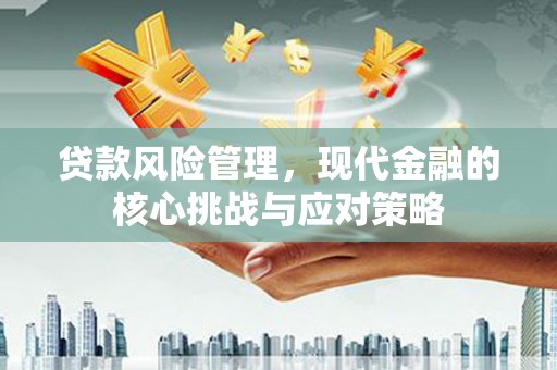 大丰贷款风险管理，现代金融的核心挑战与应对策略