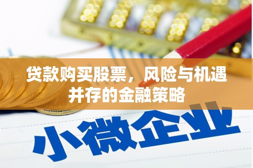 大丰贷款购买股票，风险与机遇并存的金融策略