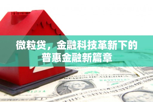 大丰微粒贷，金融科技革新下的普惠金融新篇章