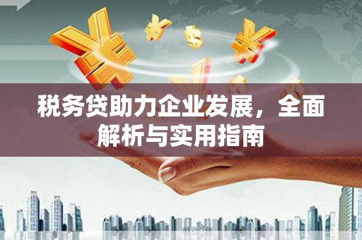 大丰税务贷助力企业发展，全面解析与实用指南