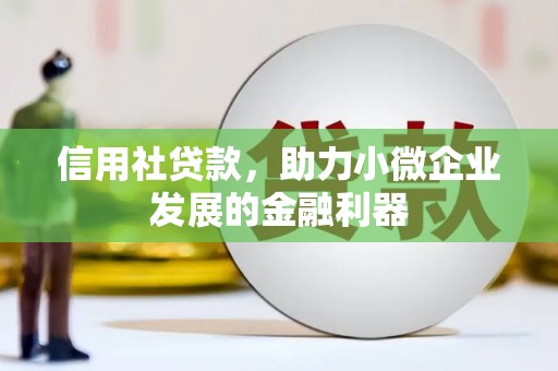 大丰信用社贷款，助力小微企业发展的金融利器