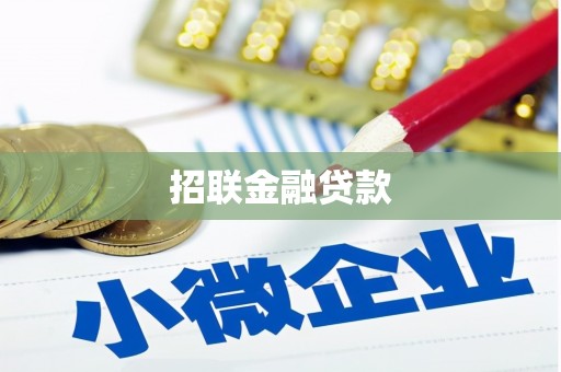大丰招联金融贷款