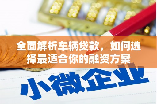 大丰全面解析车辆贷款，如何选择最适合你的融资方案