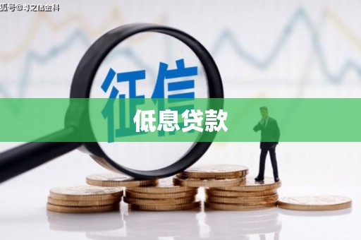 大丰低息贷款