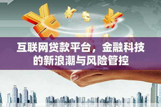 大丰互联网贷款平台，金融科技的新浪潮与风险管控