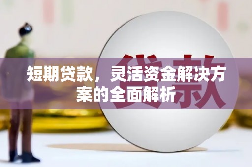 大丰短期贷款，灵活资金解决方案的全面解析