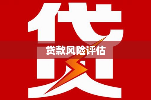 大丰贷款风险评估