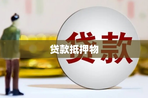 大丰贷款抵押物