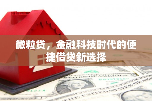 大丰微粒贷，金融科技时代的便捷借贷新选择