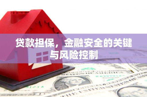 大丰贷款担保，金融安全的关键与风险控制