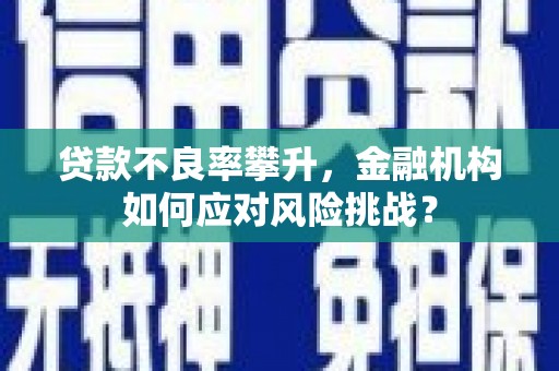 大丰贷款不良率攀升，金融机构如何应对风险挑战？