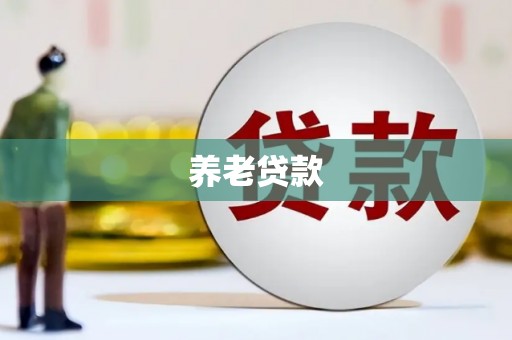 大丰养老贷款