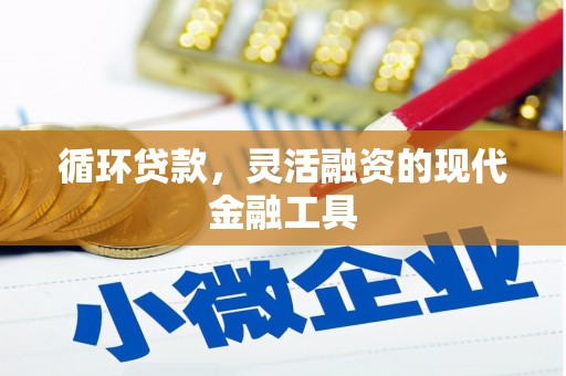 大丰循环贷款，灵活融资的现代金融工具