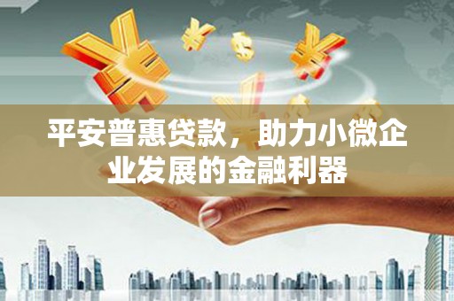 大丰平安普惠贷款，助力小微企业发展的金融利器