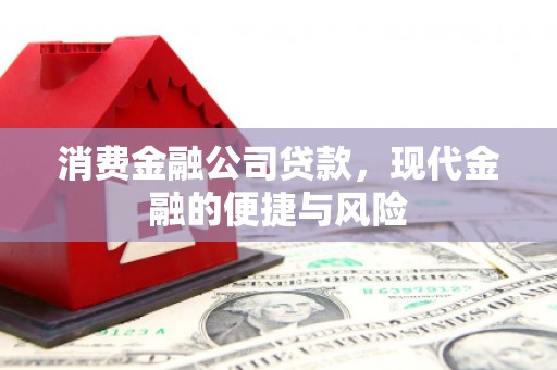 大丰消费金融公司贷款，现代金融的便捷与风险