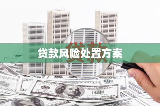 大丰贷款风险处置方案