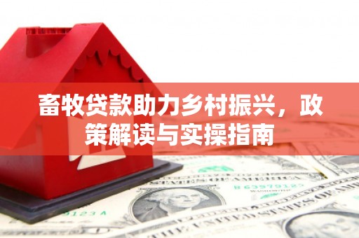 大丰畜牧贷款助力乡村振兴，政策解读与实操指南