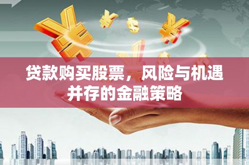 大丰贷款购买股票，风险与机遇并存的金融策略