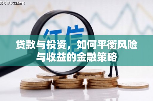 大丰贷款与投资，如何平衡风险与收益的金融策略