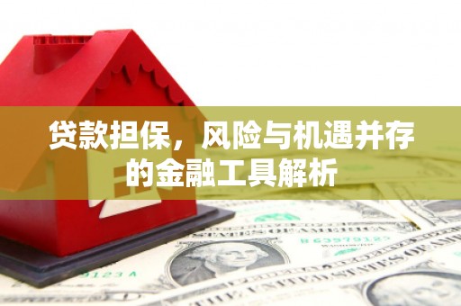 大丰贷款担保，风险与机遇并存的金融工具解析