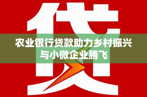 大丰农业银行贷款助力乡村振兴与小微企业腾飞