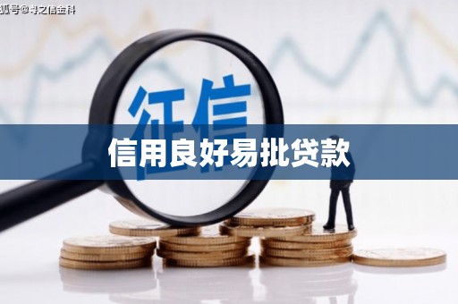 大丰信用良好易批贷款