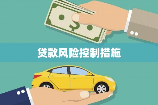 大丰贷款风险控制措施