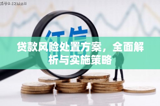 大丰贷款风险处置方案，全面解析与实施策略