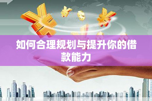 大丰如何合理规划与提升你的借款能力